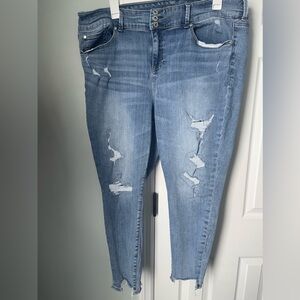 Women’s Torrid Size 22